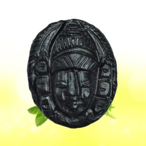 Adbhut Lord Tirupati Balaji carved on Sudarshan Shaligram Shila SG112