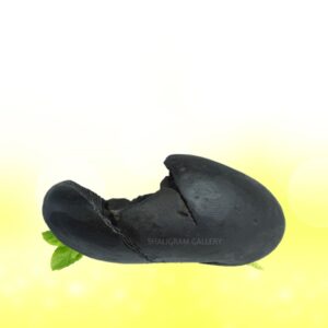 Sacred Maa Kamakhya Devi Shaligram Shila SG118