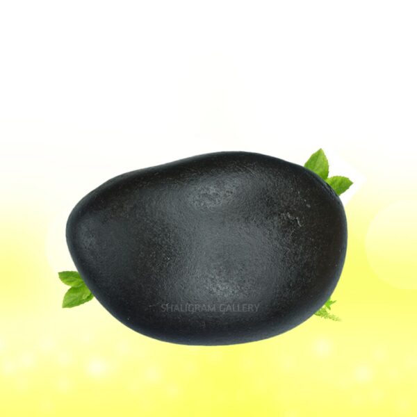 Adbhut Pratyangira Devi Shaligram Shila SG155