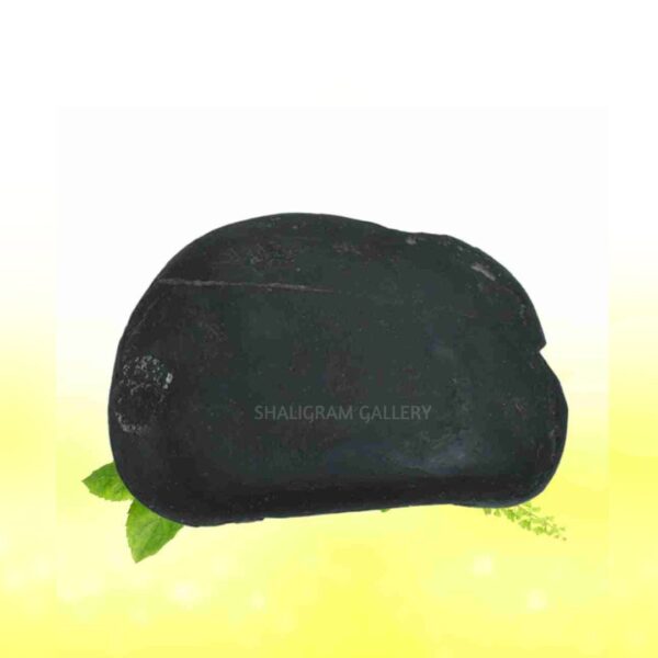Laxmi Narsimha Shaligram SG72 - Image 2