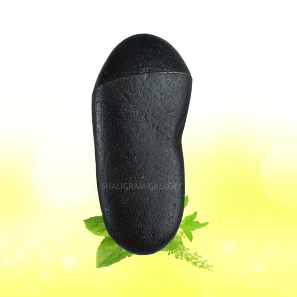 Sacred Mahalaxmi Charan Paduka Shaligram Shila SG76