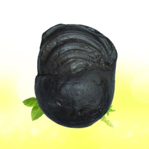 Radha Krishna Shaligram Shila SG80