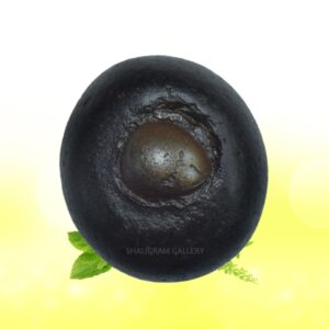 Adwaitya Acharya Harihara Radha Rani Shaligram Shila SG81