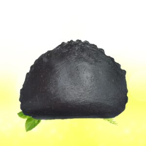 Auspicious Surya Laxmi Kamal Narayana Shaligram Shila SG83