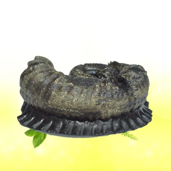 Auspicious Surya Laxmi Kamal Narayana Shaligram Shila SG83 - Image 4