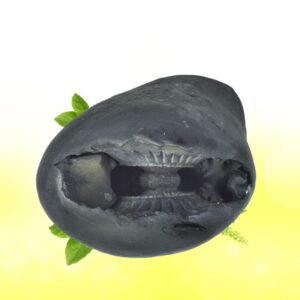 Adbhut Maha Laxmi Narayana Anirudha Shaligram Shila SG91