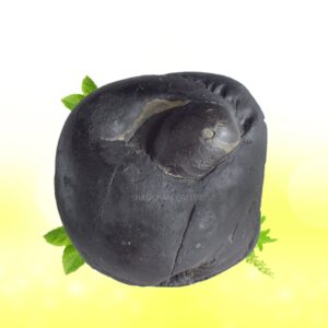 Adwaitya Acharya Laxmi Narayana Shaligram Shila SG98