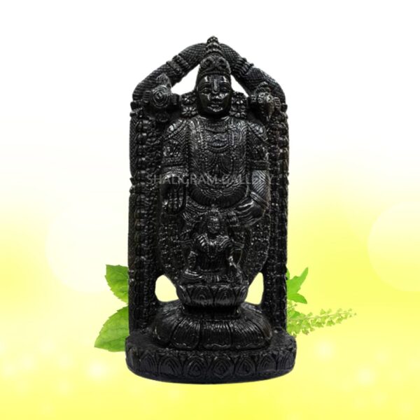 Lord Tirupati Balaji/ Venkateshwara with Laxmi ji Shaligram Idol - VIII SGI08