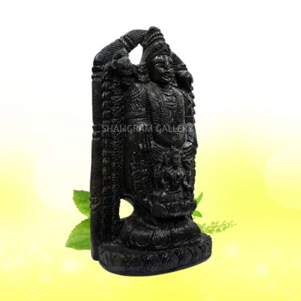 Lord Tirupati Balaji/ Venkateshwara with Laxmi ji Shaligram Idol - VIII SGI08 - Image 2