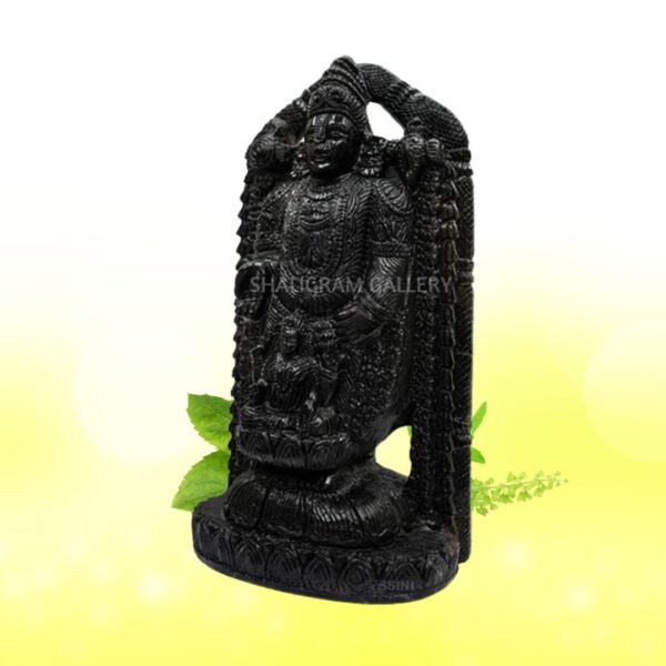 Lord Tirupati Balaji/ Venkateshwara with Laxmi ji Shaligram Idol - VIII SGI08 - Image 3