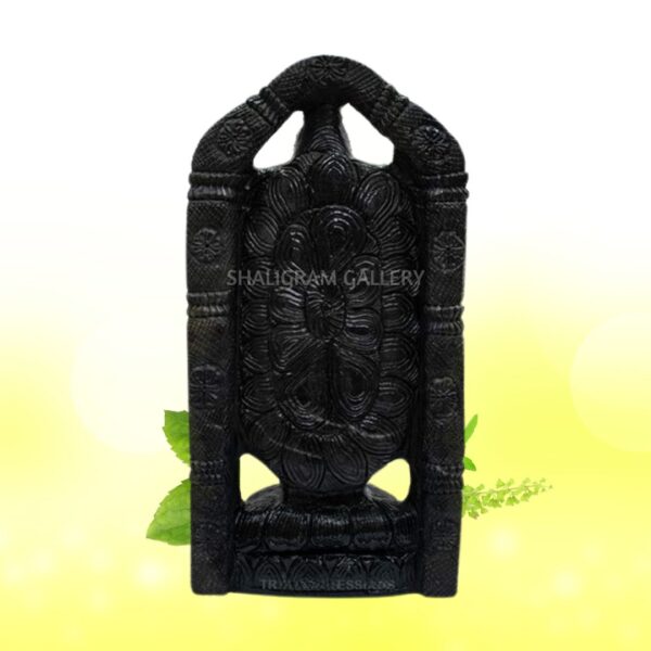 Lord Tirupati Balaji/ Venkateshwara with Laxmi ji Shaligram Idol - VIII SGI08 - Image 4