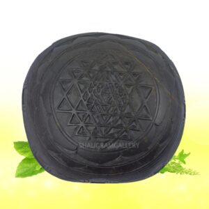 Natural Janeu Rekhachitra Shree Yantra Shaligram SGI79 (SGY07)