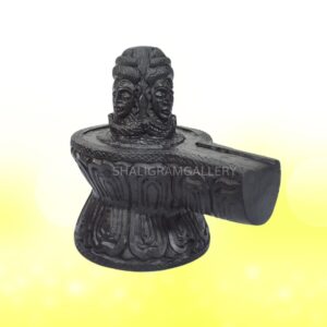 Adbhut Pashupatinath Shivling Shaligram SGI55 (SGY13)