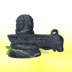 Adbhut Pashupatinath Shivling with Natural Janeu Shaligram SGI77 (SGY12)