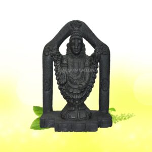 Lord Tirupati Balaji/ Venkateshwara Shaligram Idol - SGI07