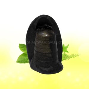 Rare Golden Maha Shivling Shaligram - I