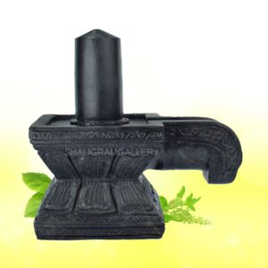 Sacred Shivling Shaligram SGY11