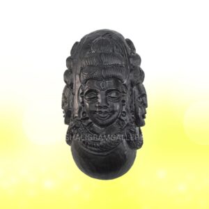 Pashupatinath Banalingam Shaligram SGY15