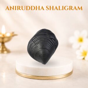 Aniruddha Shaligram