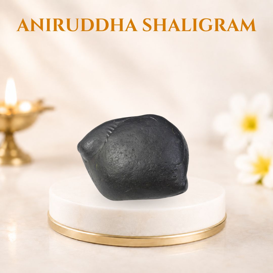Aniruddha Shaligram