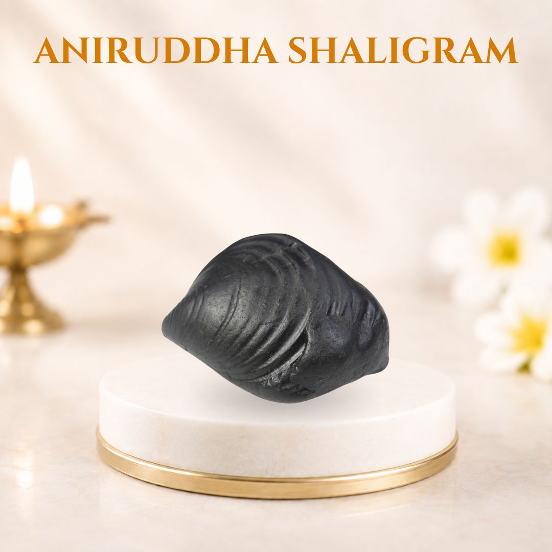 Aniruddha Shaligram