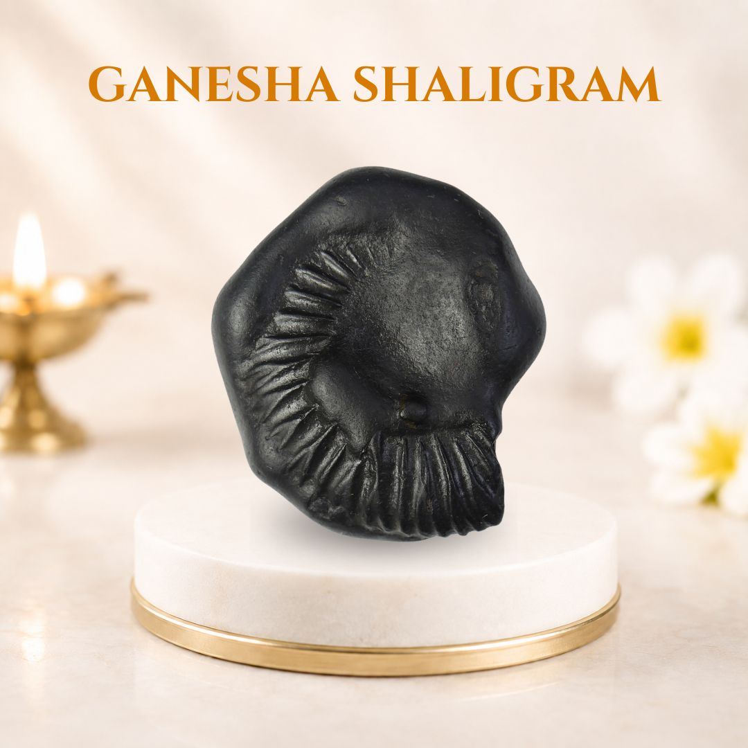 Ganesha Shaligram