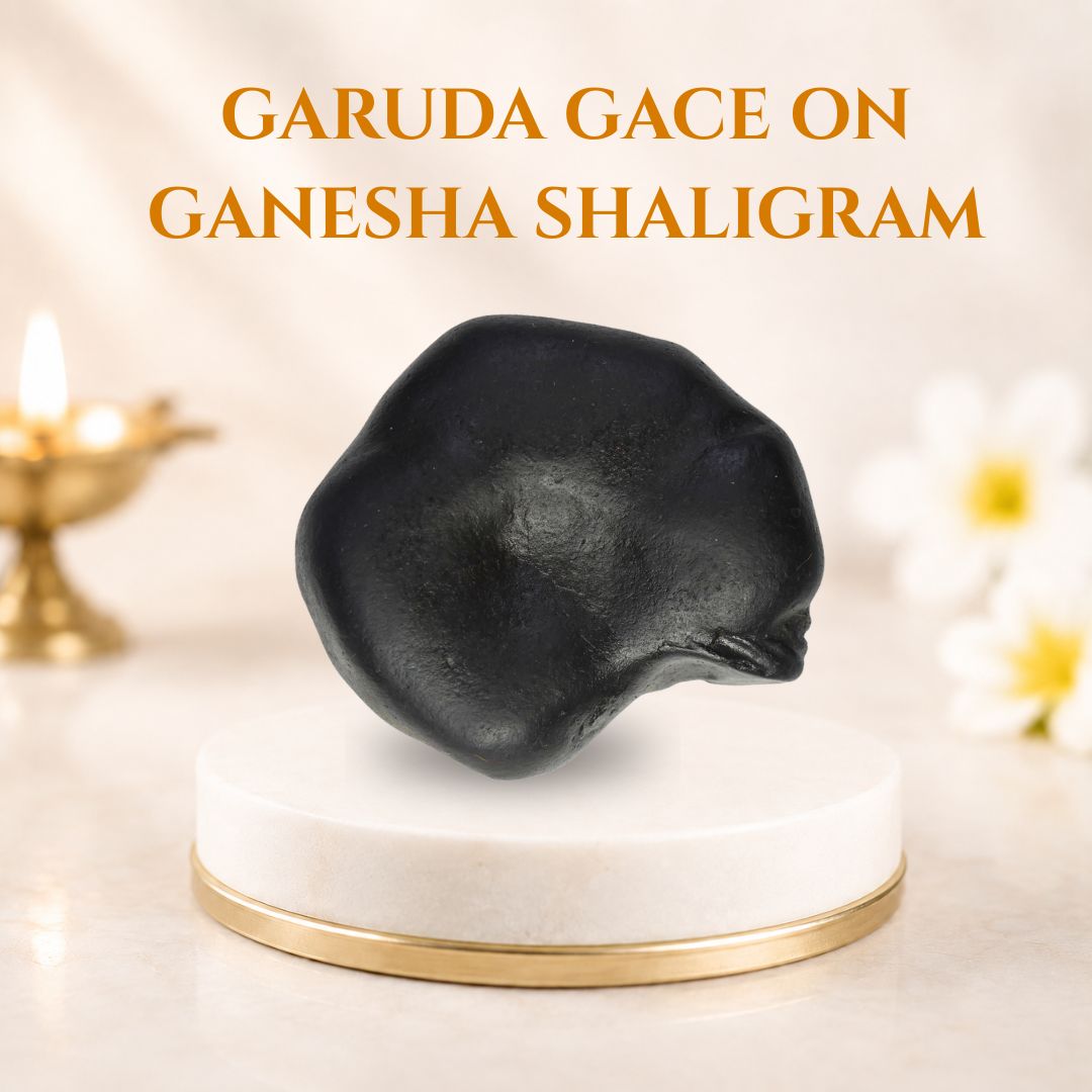 Ganesha Shaligram