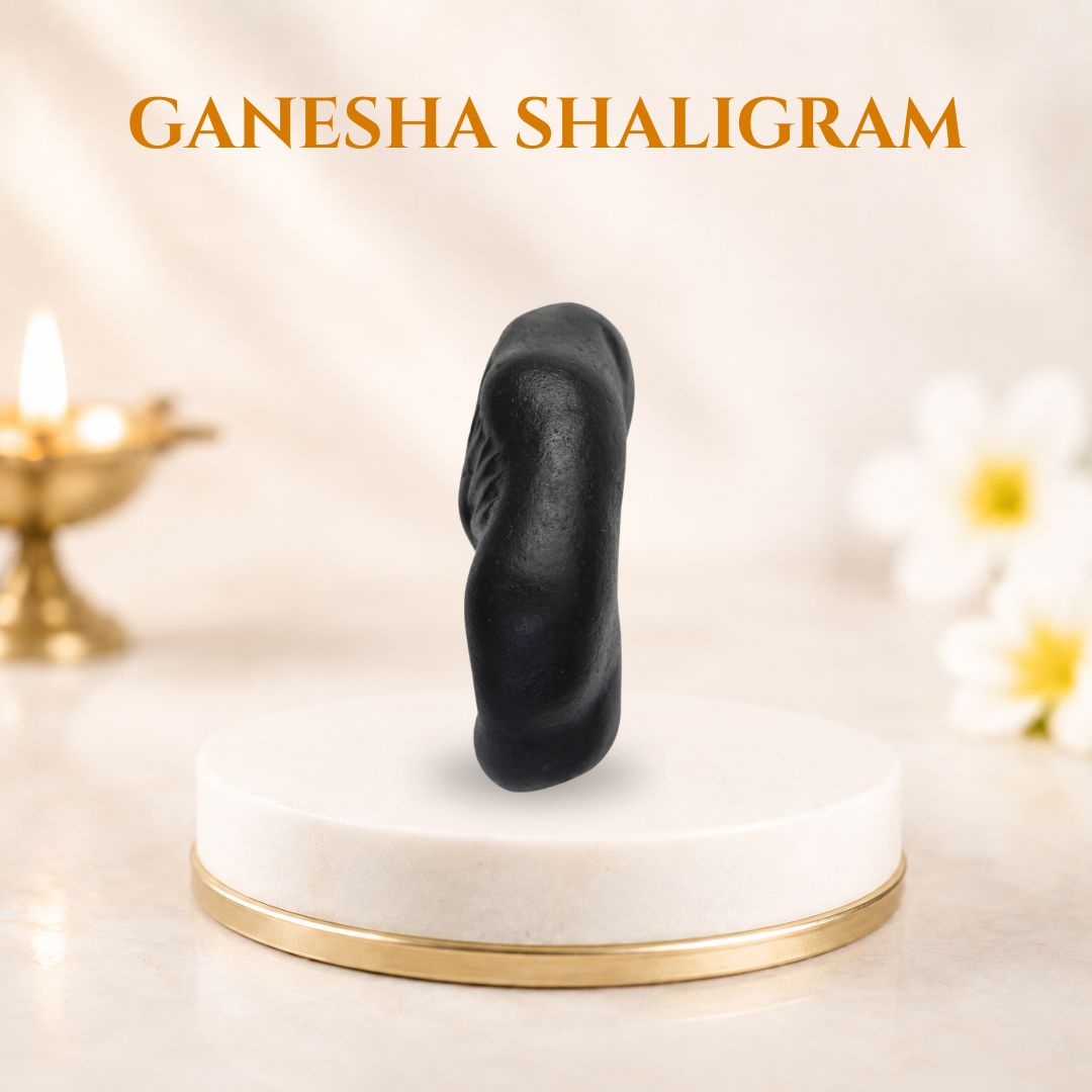 Ganesha Shaligram