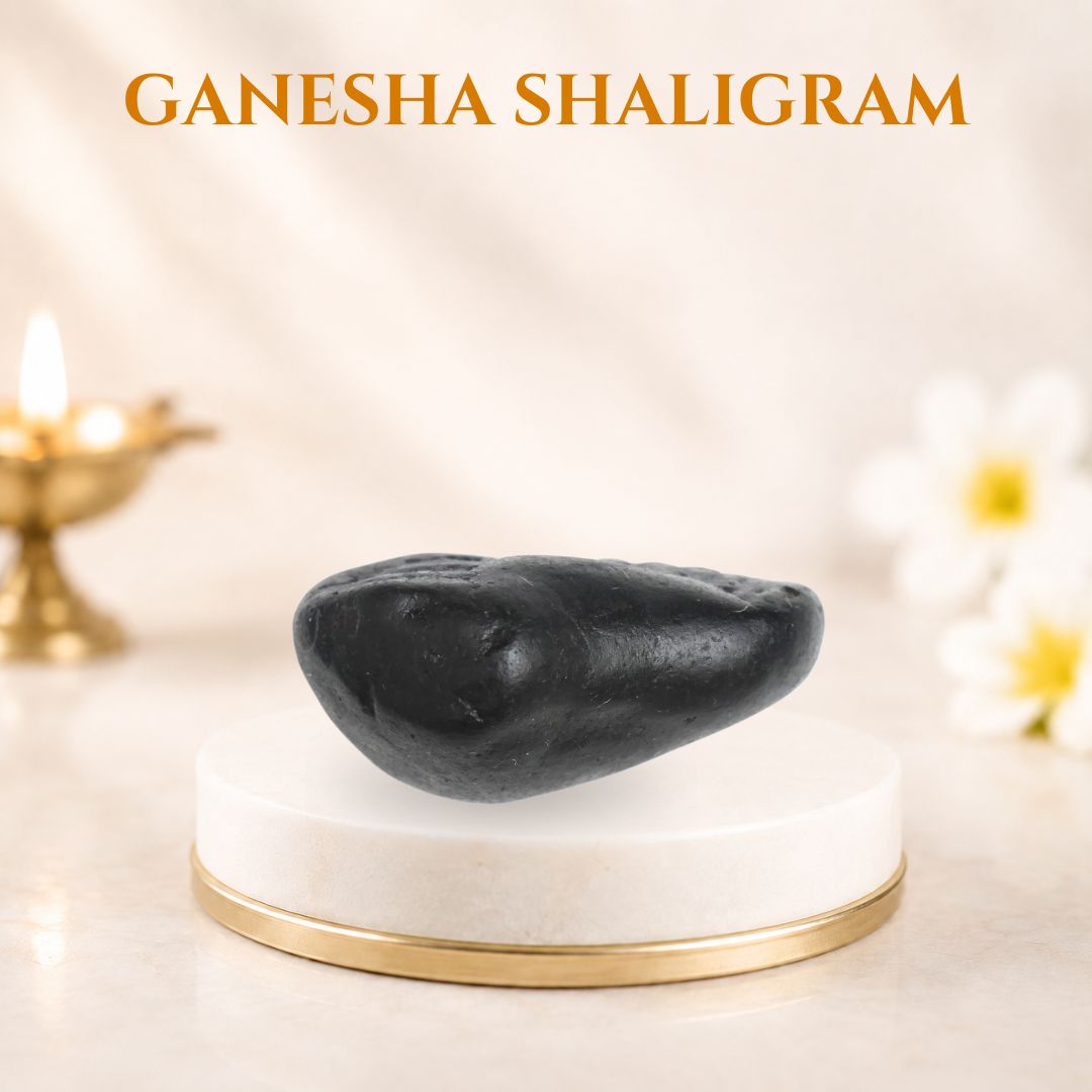 Ganesha Shaligram
