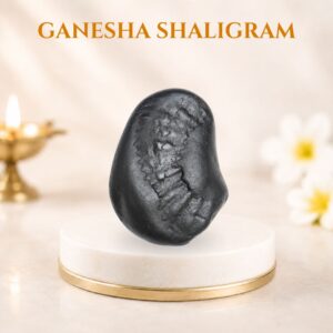 Ganesha Shaligram