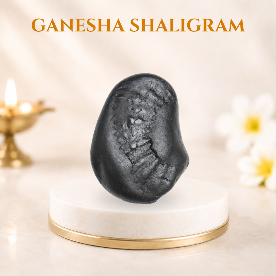 Ganesha Shaligram