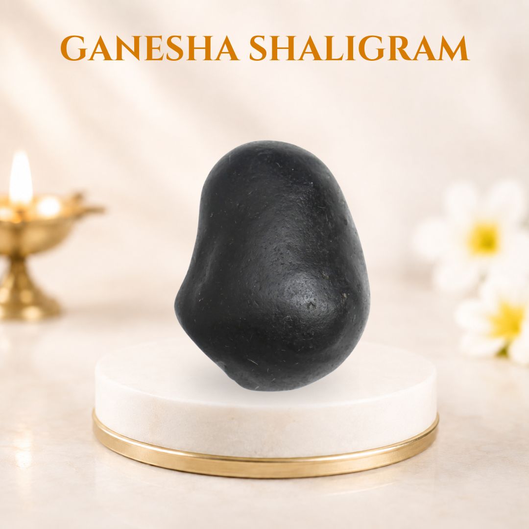 Ganesha Shaligram