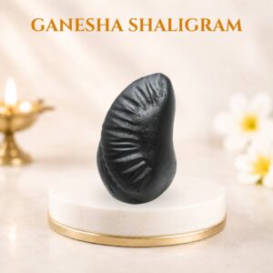 Ganesha shaligram