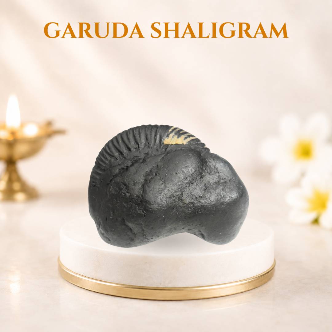 Garuda shaligram