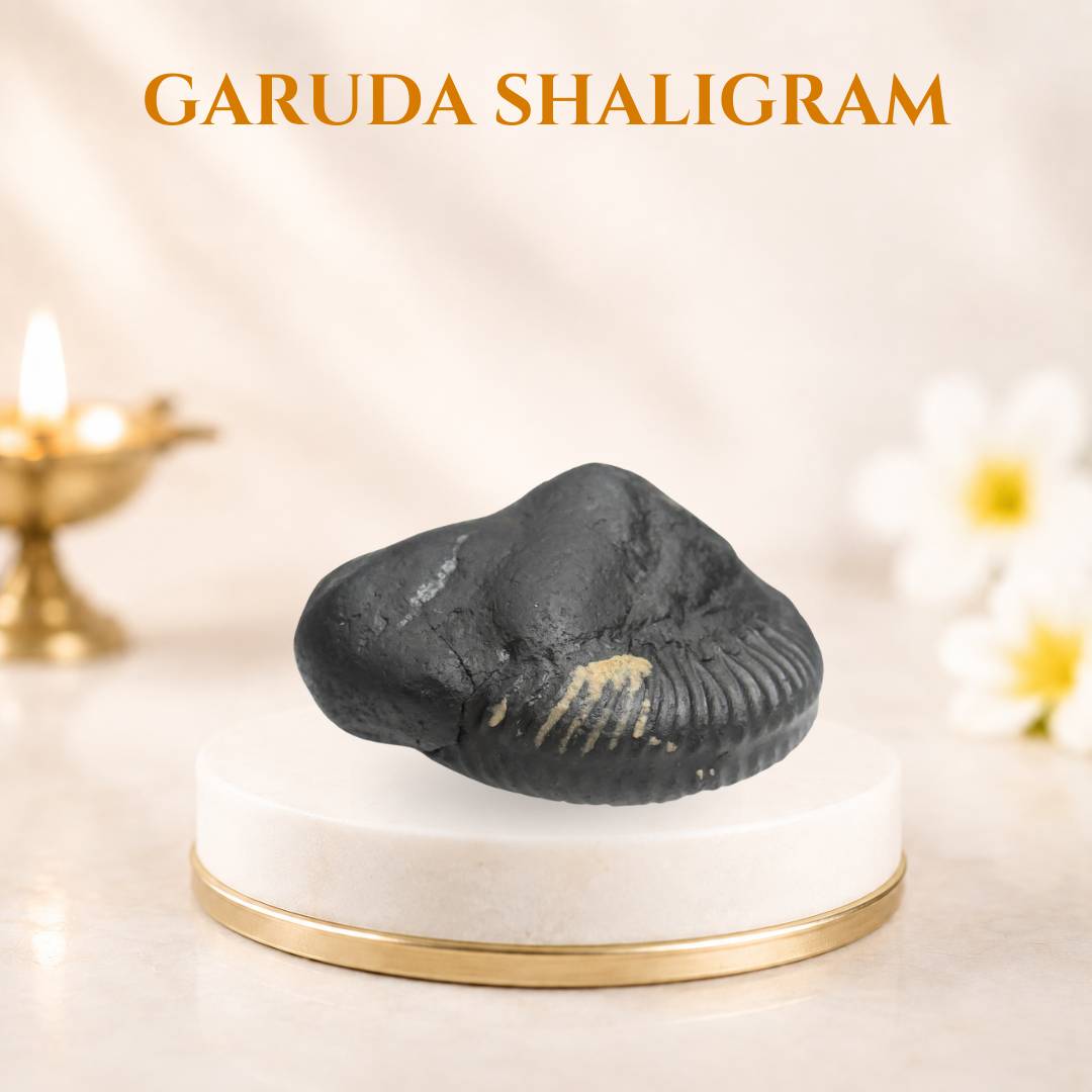 Garuda shaligram