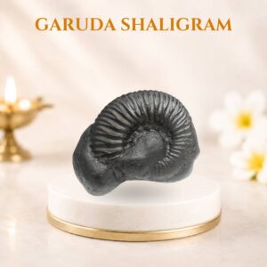 Garuda shaligram