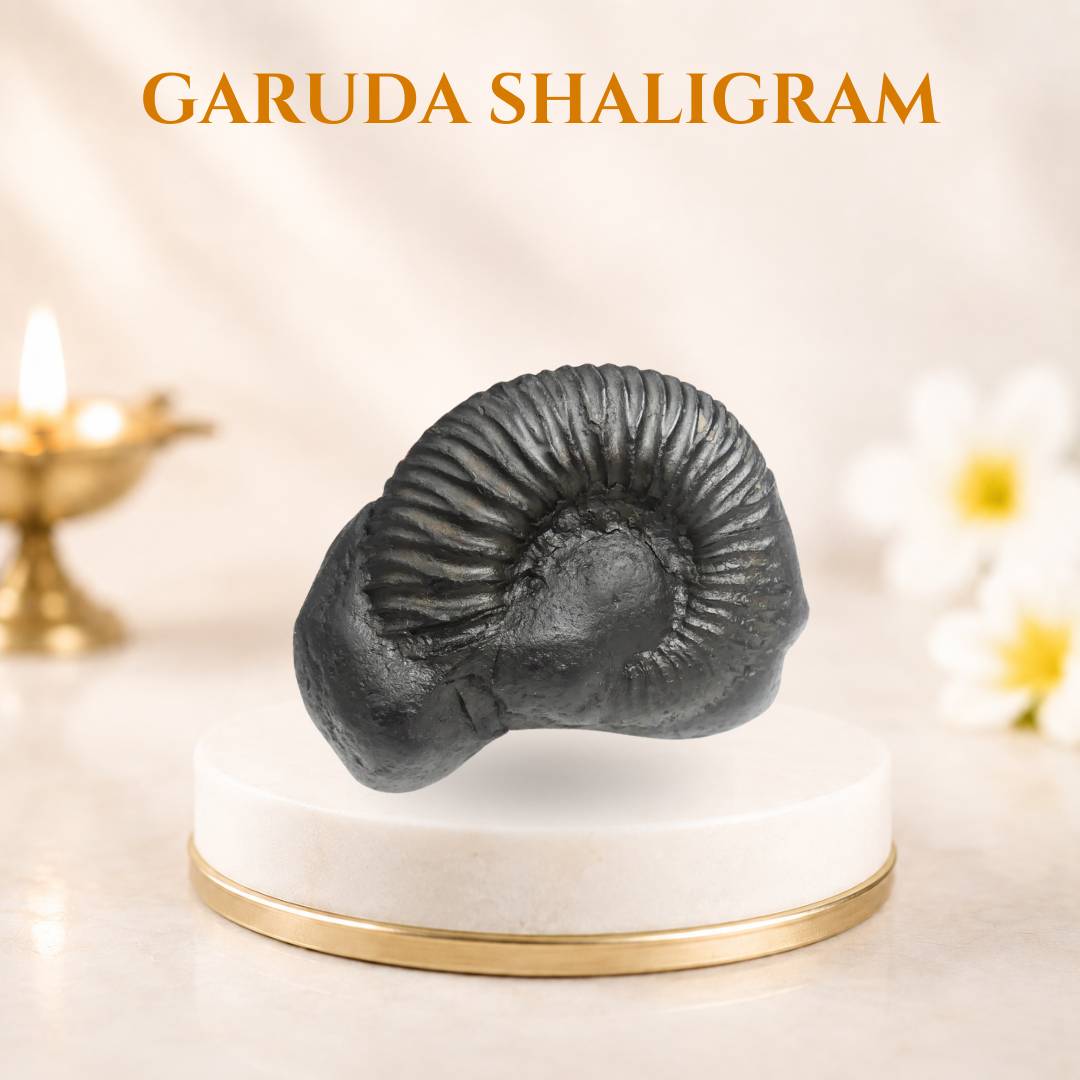 Garuda shaligram