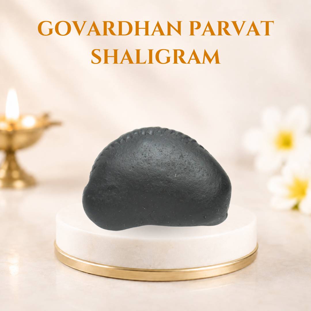 Govardhan Shaligram