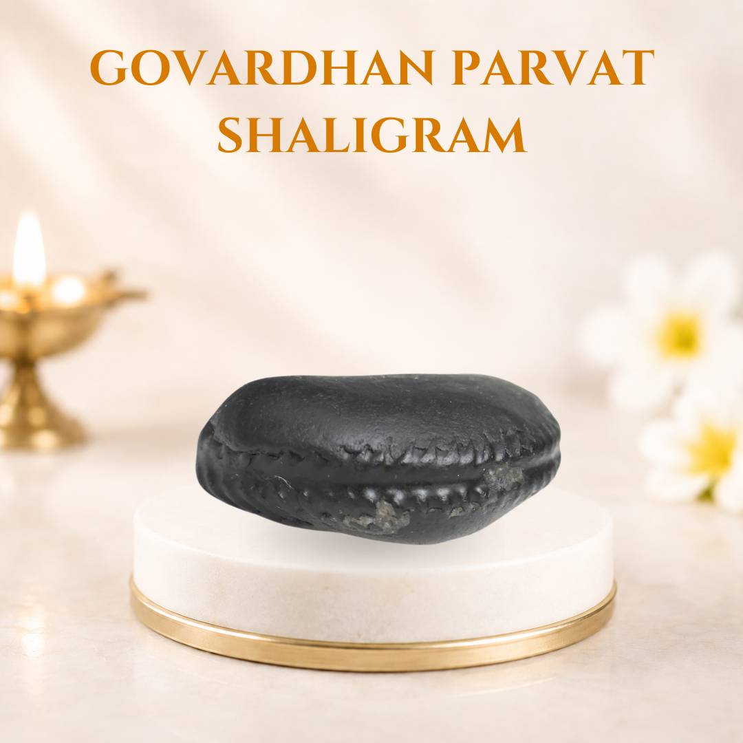 Govardhan Shaligram