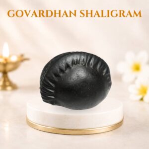 Govardhan Shaligram