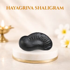 Hayagriva Shaligram