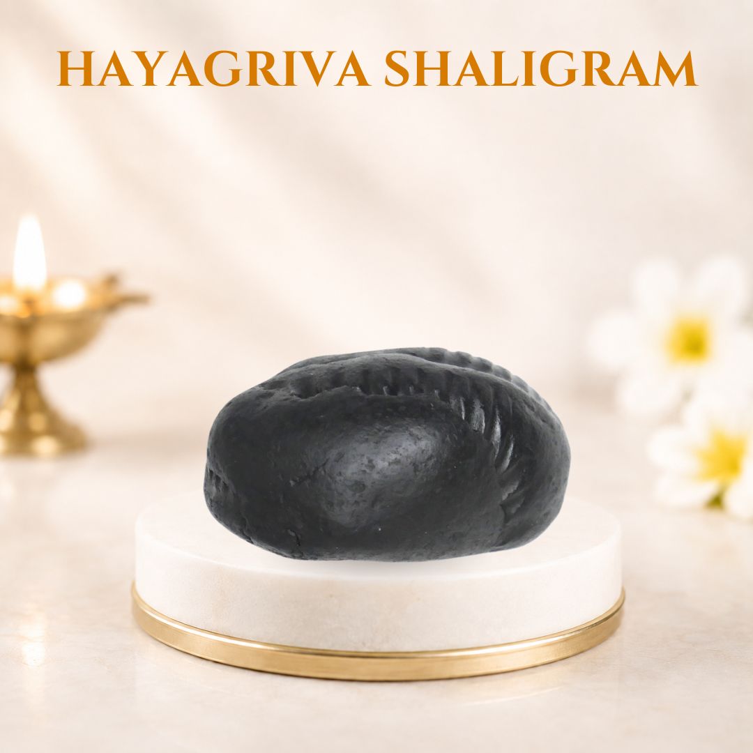 Hayagriva Shaligram