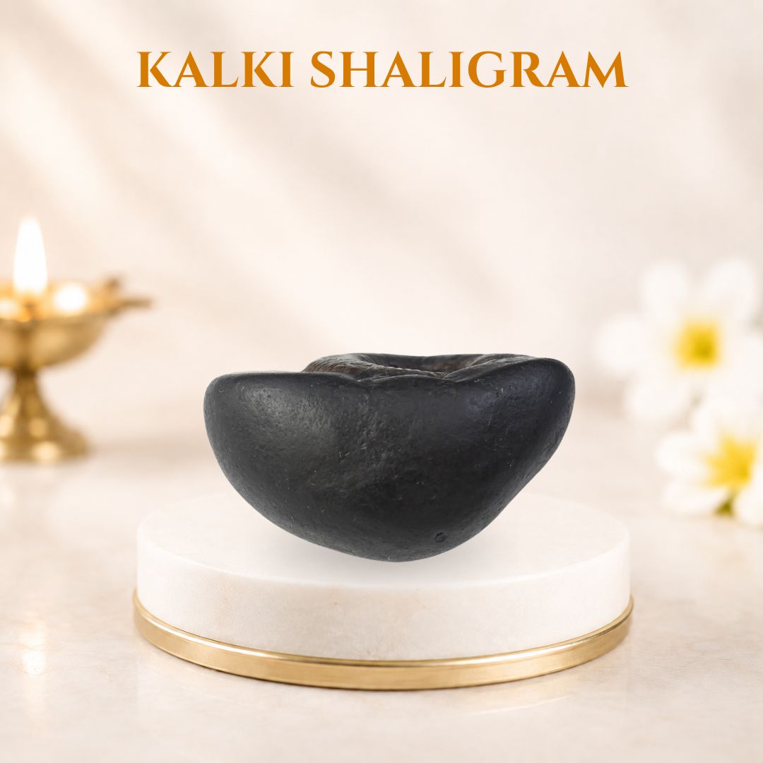 Kalki Shaligram