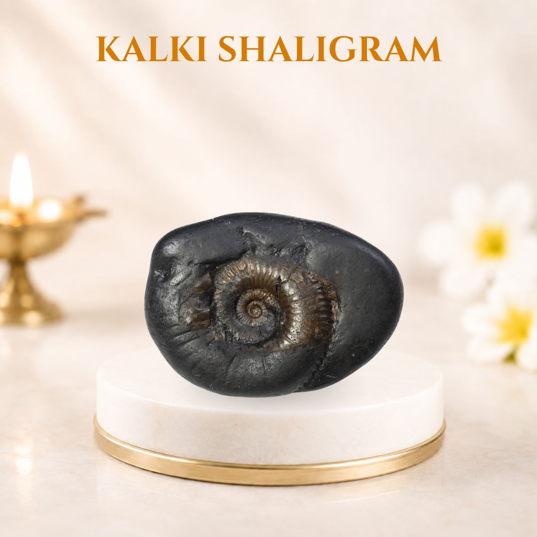 Kalki Shaligram