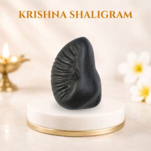 Krishna Shaligram