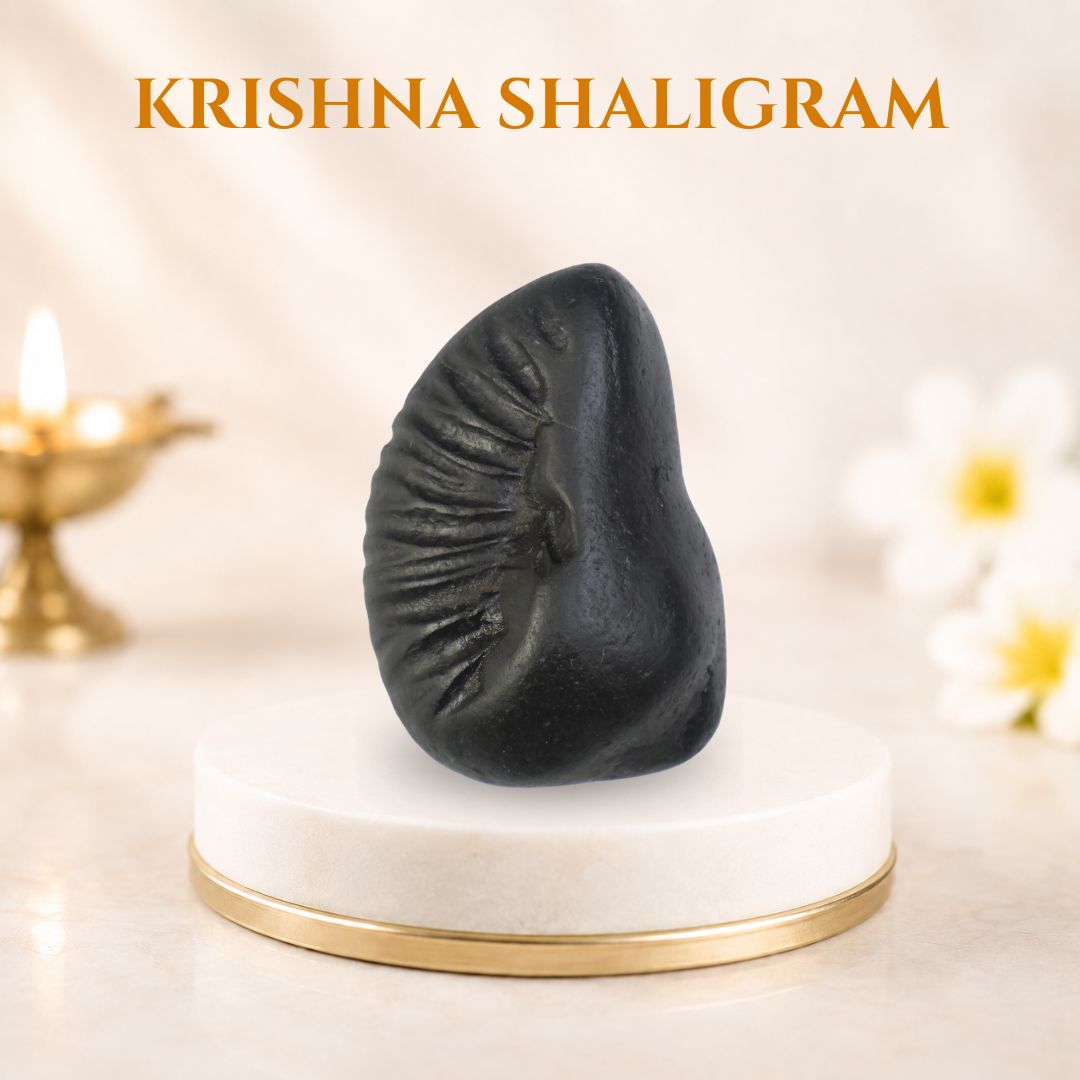Krishna Shaligram