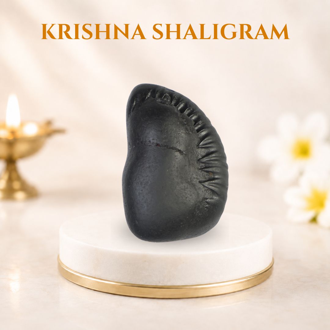 Krishna Shaligram