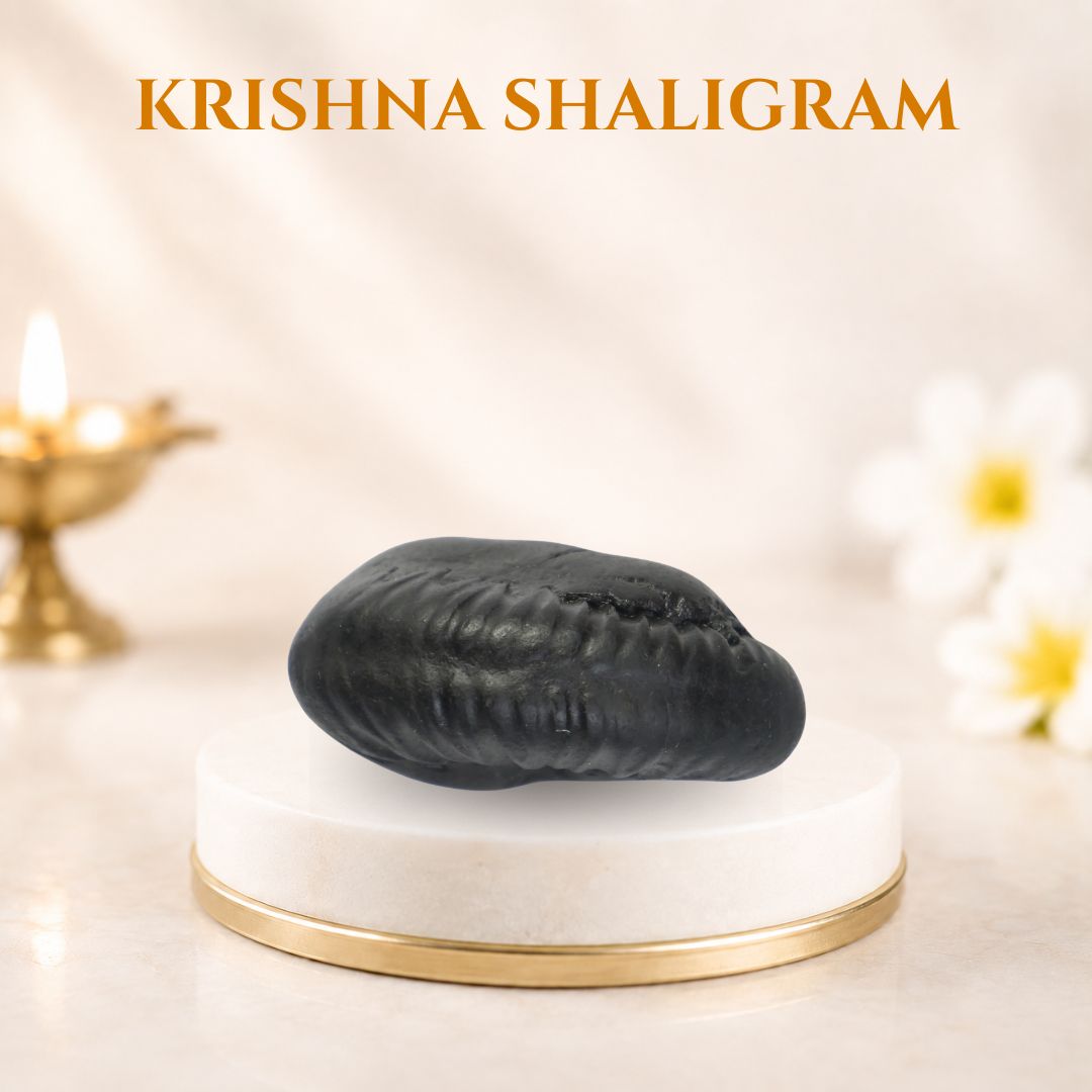 Krishna Shaligram