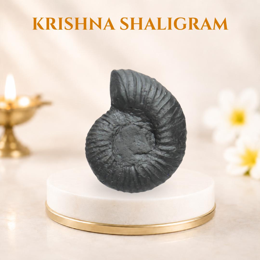 Krishna Shaligram