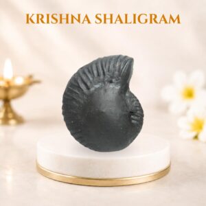 Krishna Shaligram